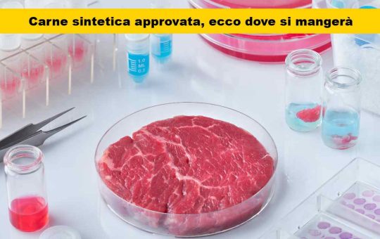 carne laboratorio approvata