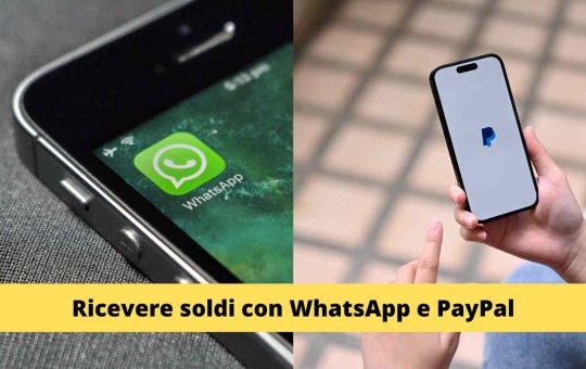 WhatsApp PayPal