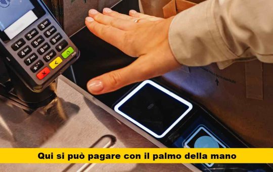 pagamento palmo