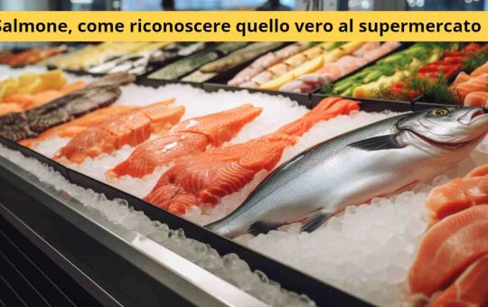 salmone supermercato